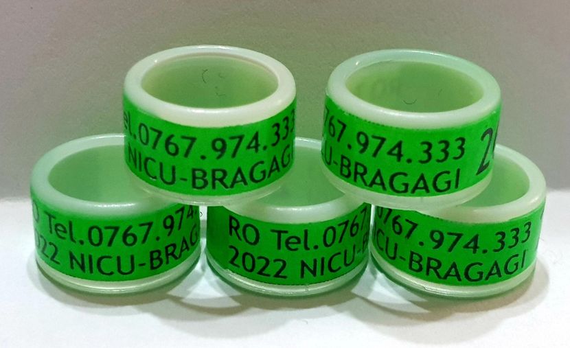  - 1-A-INELE PERSONALIZATE 2022