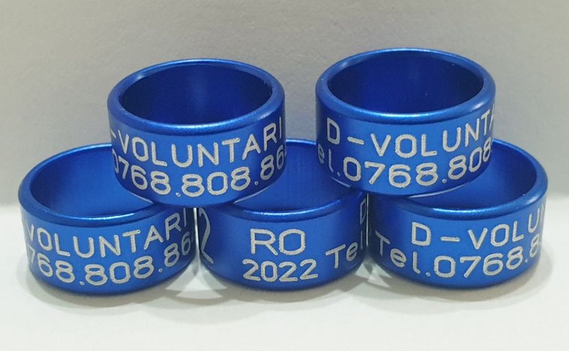  - 1-A-INELE PERSONALIZATE 2022