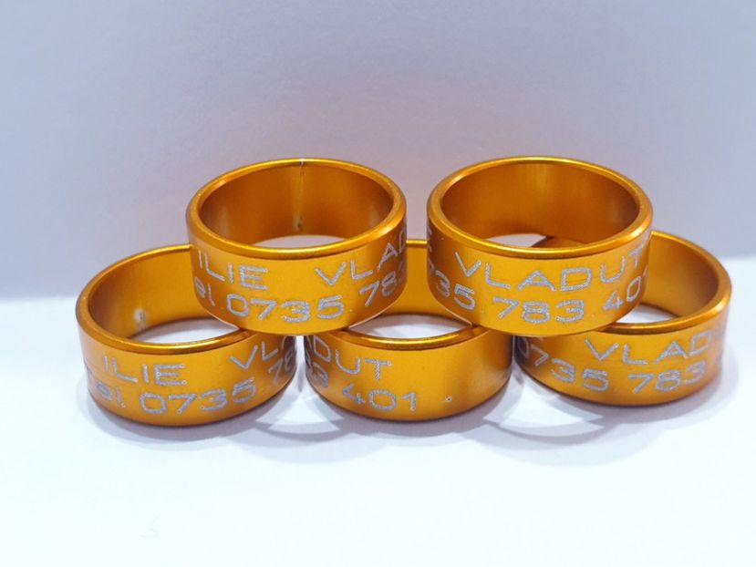  - 1-A-INELE PERSONALIZATE 2022