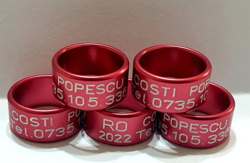  - 1-A-INELE PERSONALIZATE 2022