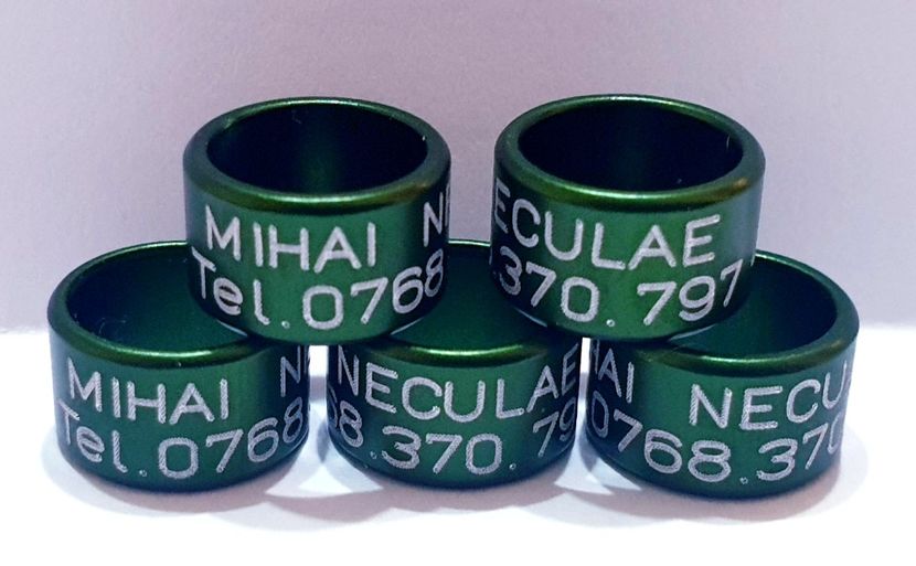  - 1-A-INELE PERSONALIZATE 2022