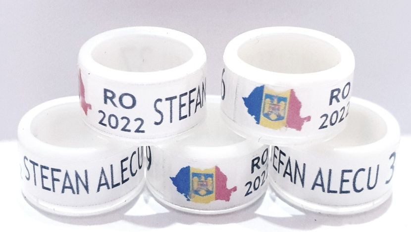  - 1-A-INELE PERSONALIZATE 2022