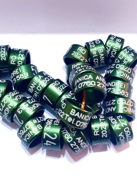  - 1-A-INELE PERSONALIZATE 2022