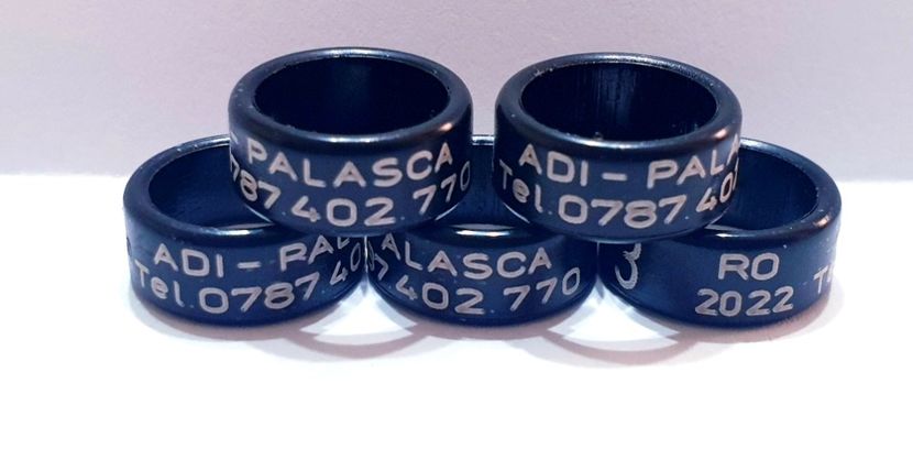  - 1-A-INELE PERSONALIZATE 2022