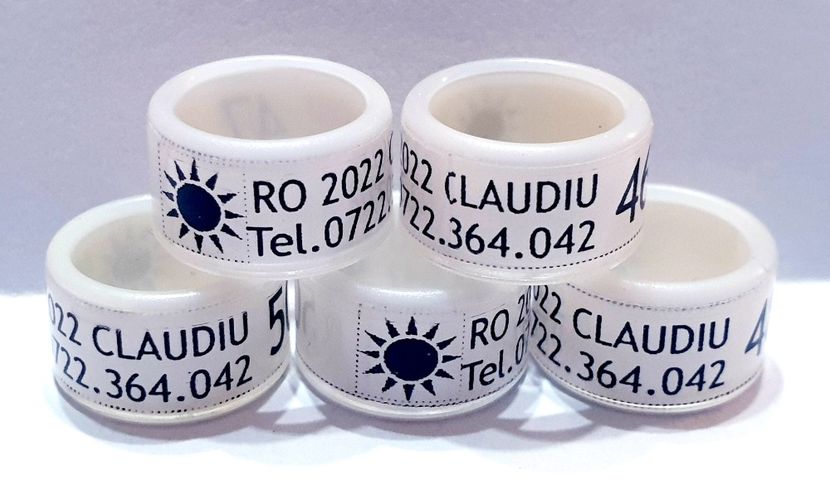  - 1-A-INELE PERSONALIZATE 2022