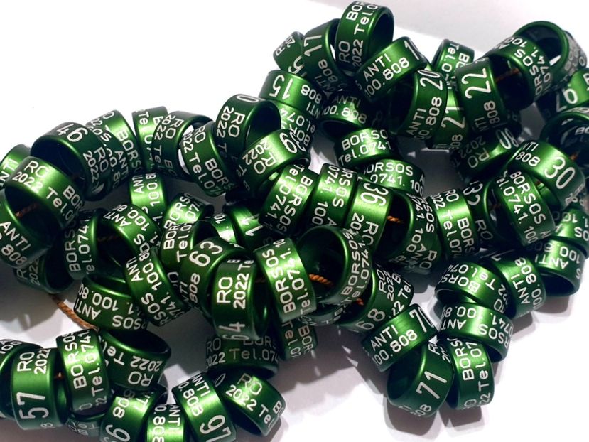  - 1-A-INELE PERSONALIZATE 2022