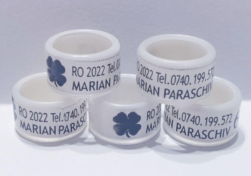  - 1-A-INELE PERSONALIZATE 2022