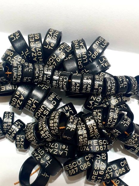  - 1-A-INELE PERSONALIZATE 2022