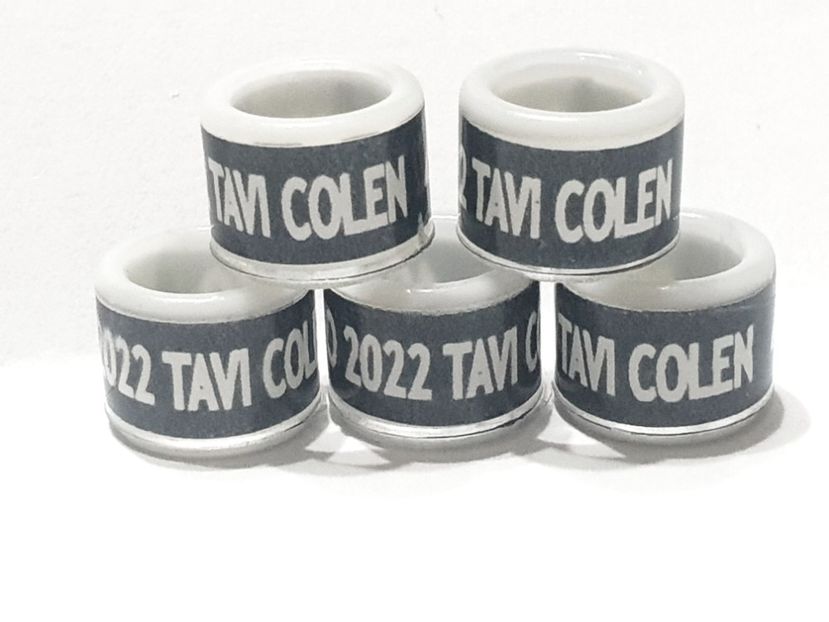  - 1-A-INELE PERSONALIZATE 2022