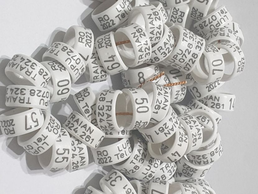  - 1-A-INELE PERSONALIZATE 2022