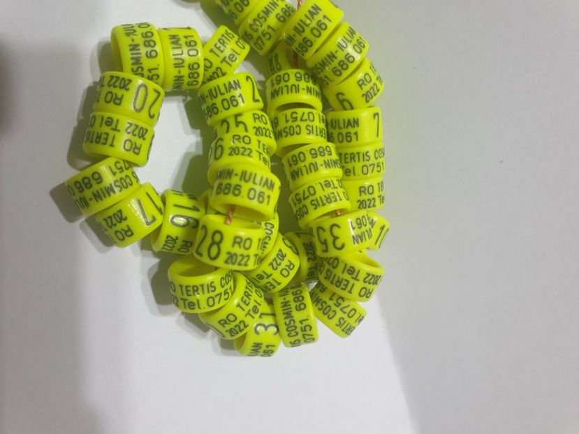  - 1-A-INELE PERSONALIZATE 2022