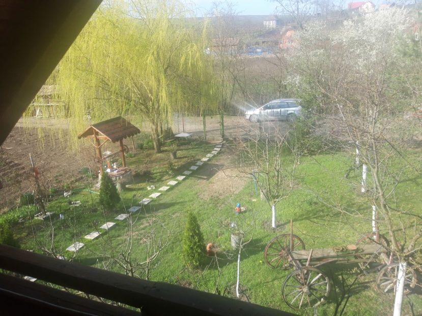  - primavara 2022