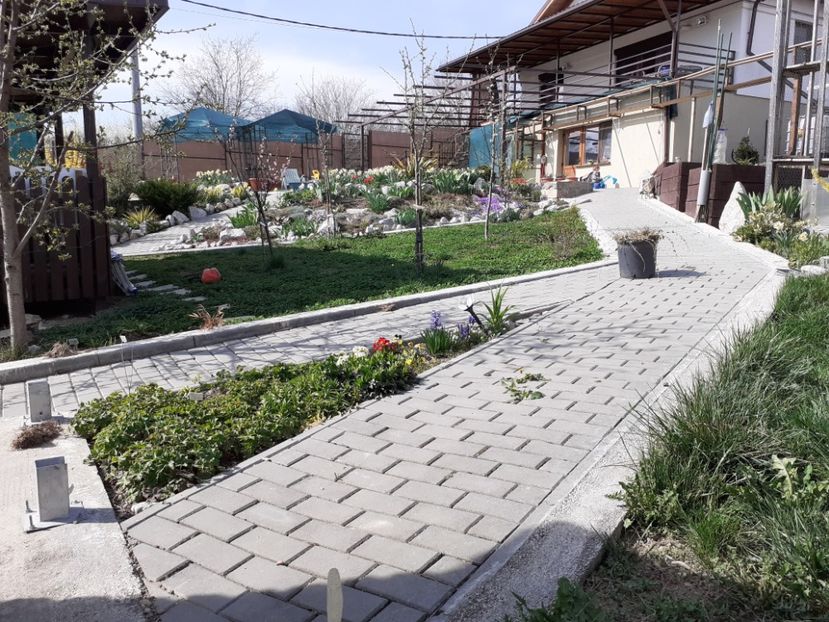  - Gradina 2022