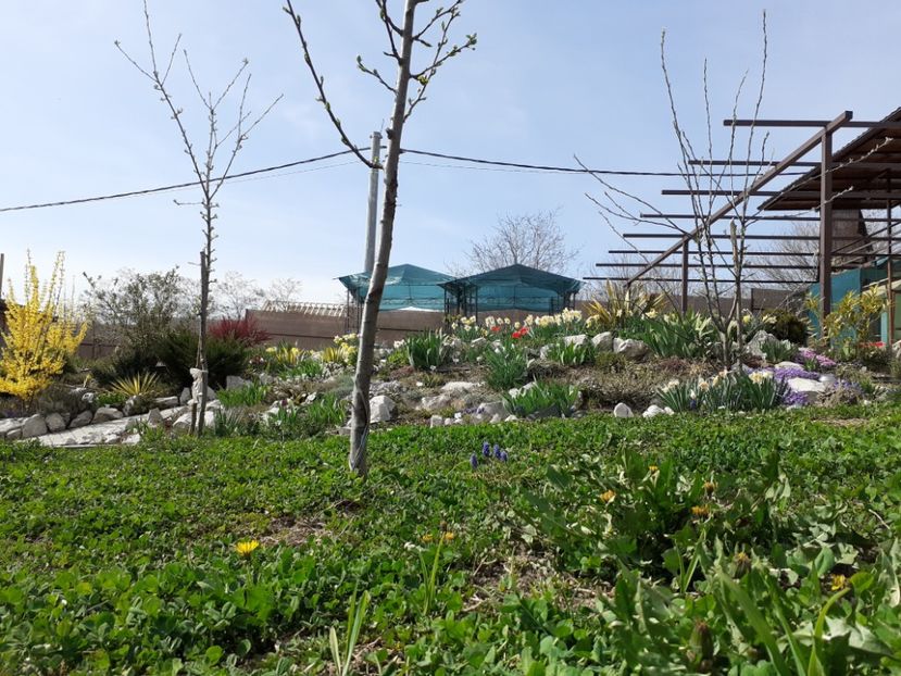  - Gradina 2022