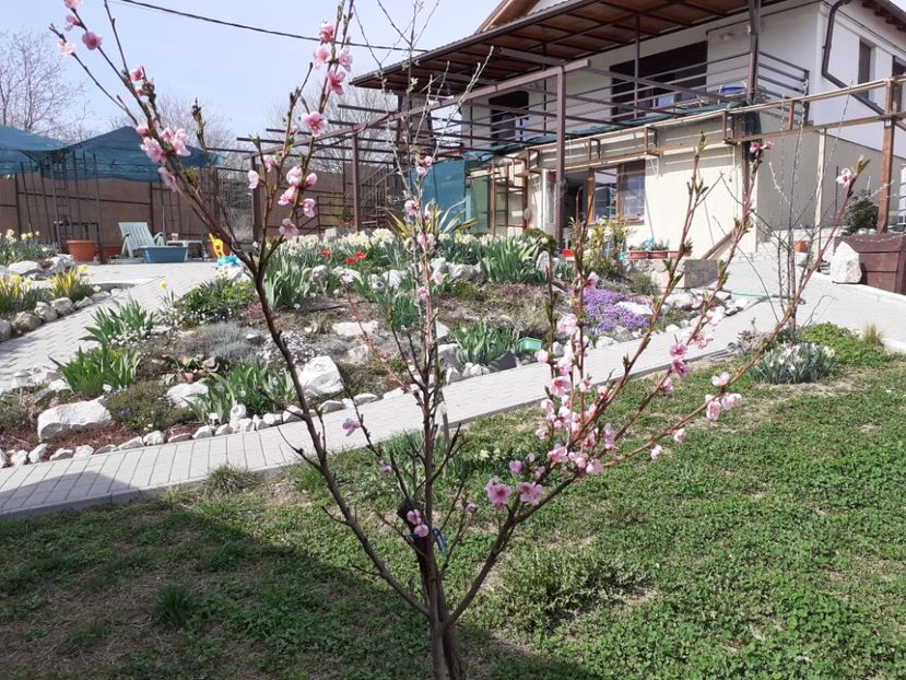  - Gradina 2022