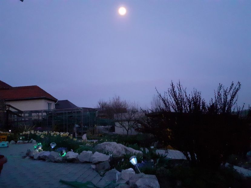  - Gradina 2022