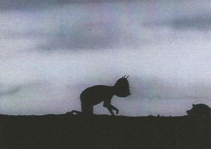 Homo Sapiens - Homo Sapiens 1960