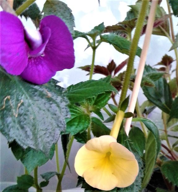 20220418_085716-5 - 000016