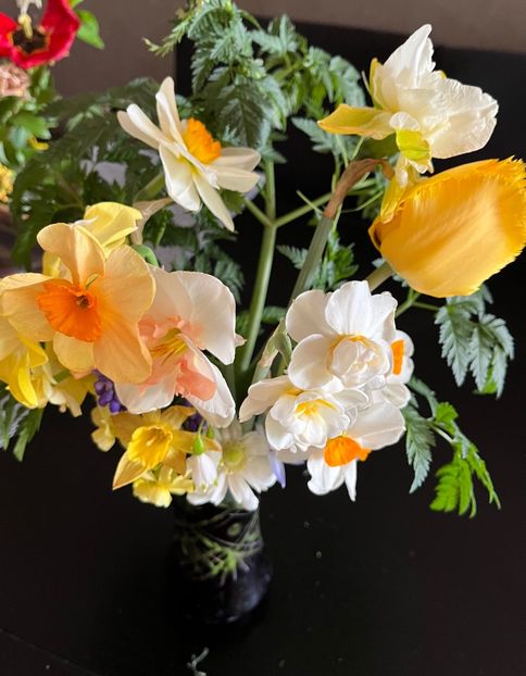 E9D07779-19B0-457D-A553-E18F952A5C81 - Narcise 2019 2022 25