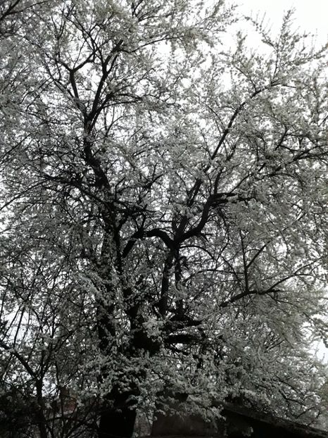  - 2022 - Aprilie