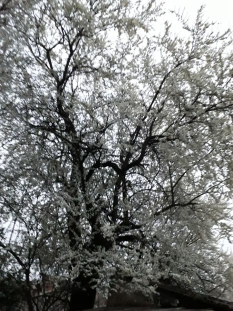  - 2022 - Aprilie