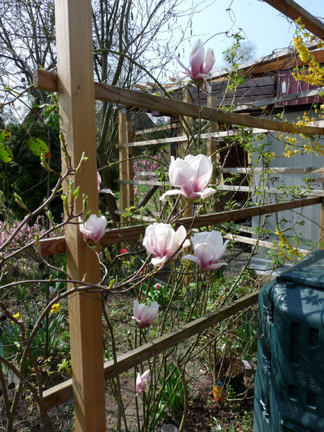  - 2022 - 01 - Primavara