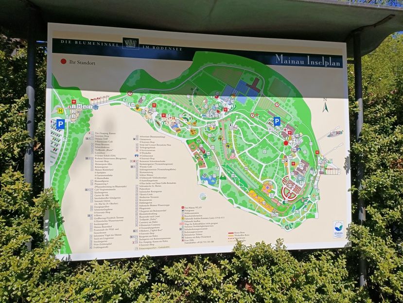 Img.2022.04.18 - Flori