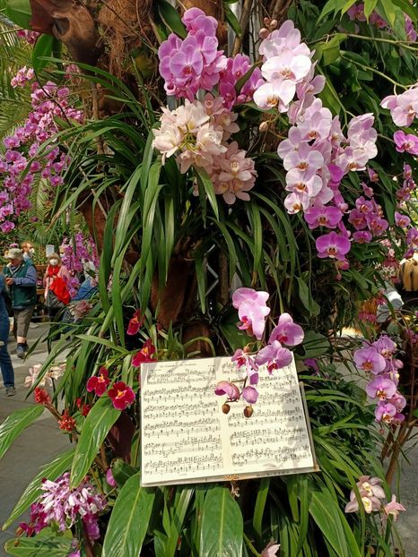 Img.2022.04.18 - Flori