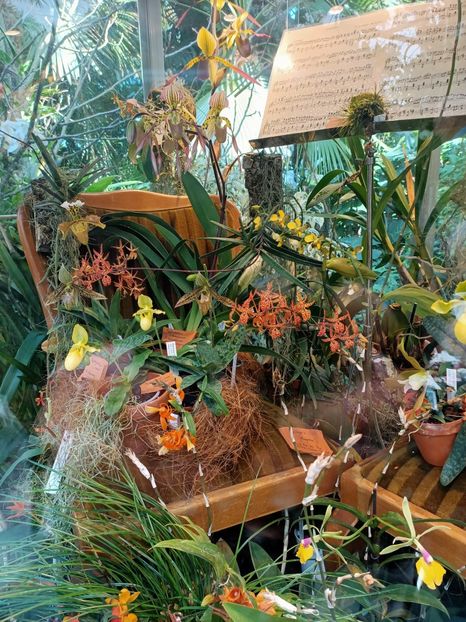 Img.2022.04.18 - Flori