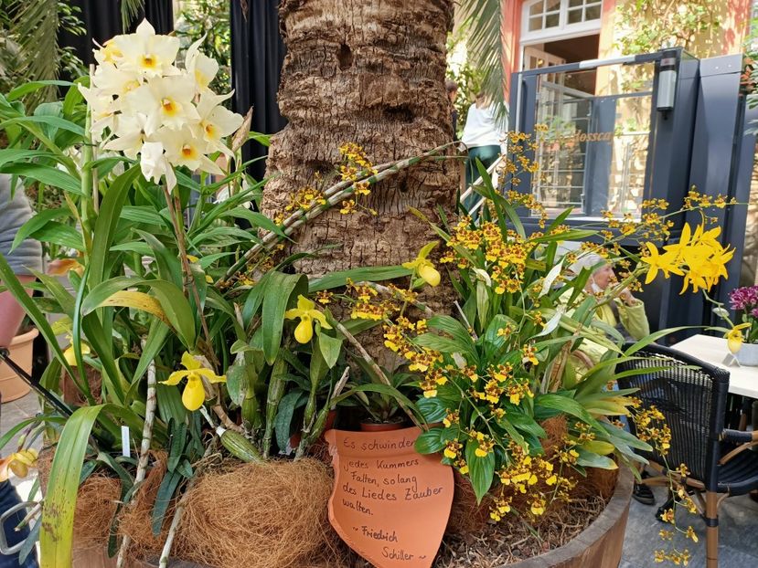 Img.2022.04.18 - Flori