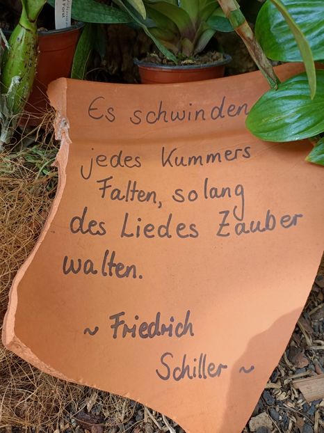 Img.2022.04.18 - Flori