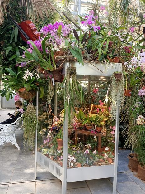 Img.2022.04.18 - Flori