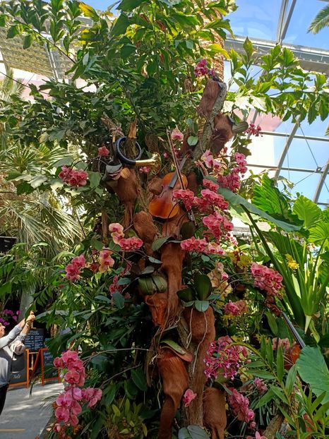 Img.2022.04.18 - Flori