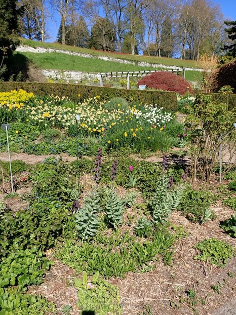 Img.2022.04.18 - Flori