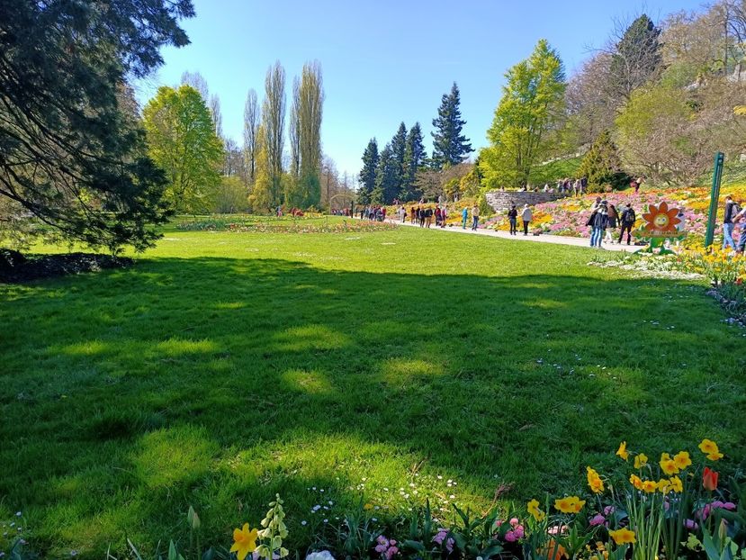 Img.2022.04.18 - Flori