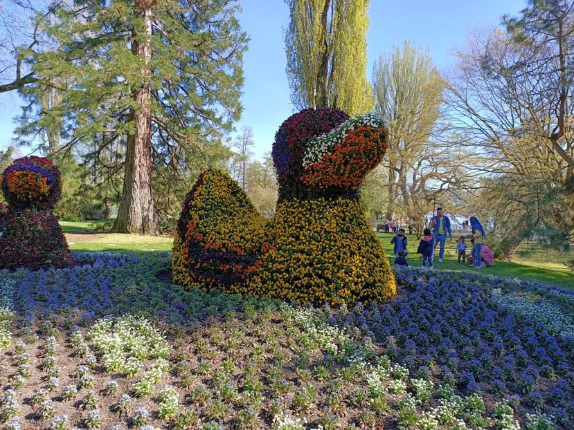 Img.2022.04.18 - Flori