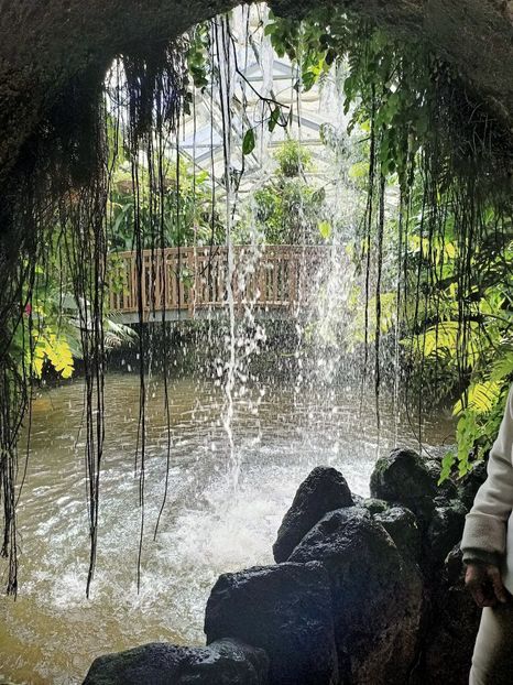 Img.2022.04.18 - Fluturi