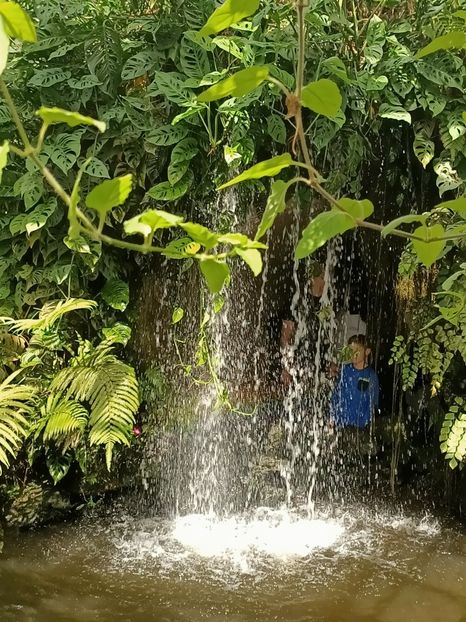 Img.2022.04.18 - Fluturi