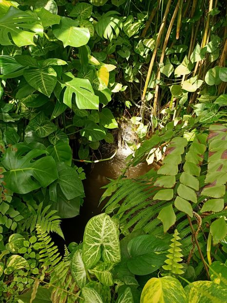 Img.2022.04.18 - Fluturi