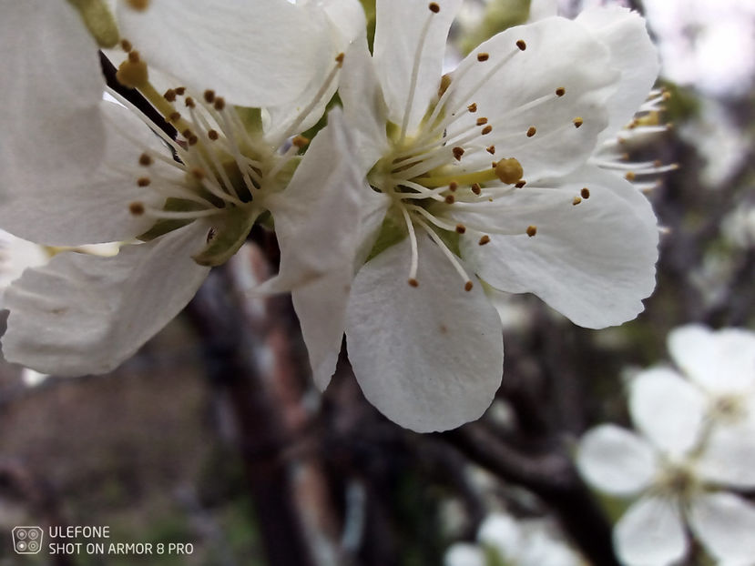  - Random pictures from Cluj - April 2022