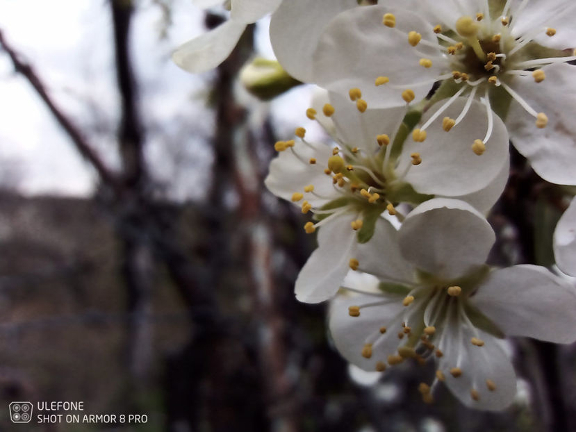  - Random pictures from Cluj - April 2022