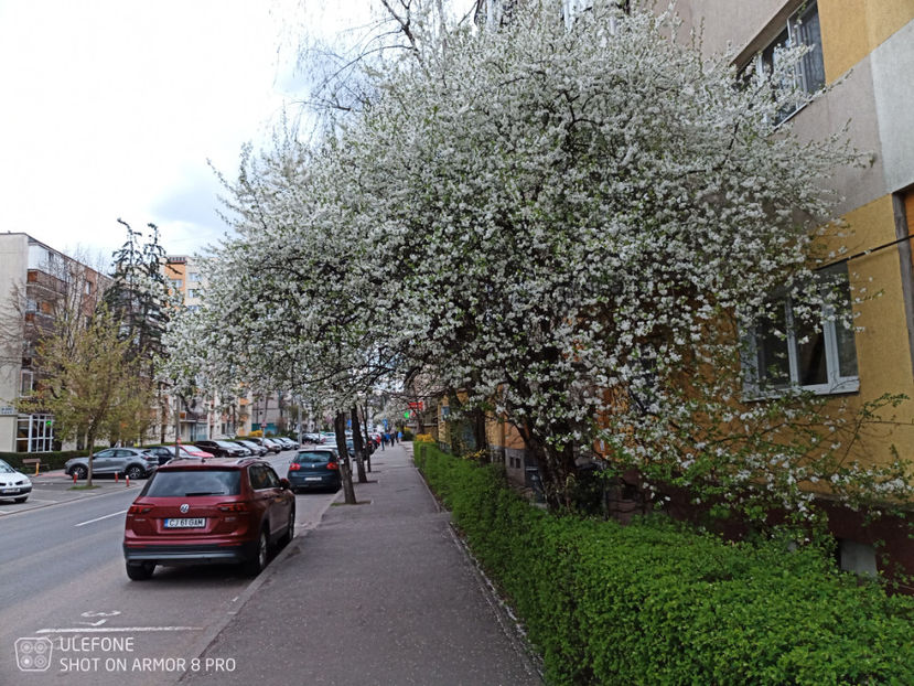  - Random pictures from Cluj - April 2022