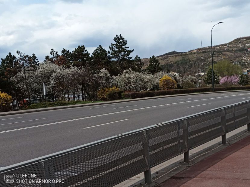  - Random pictures from Cluj - April 2022