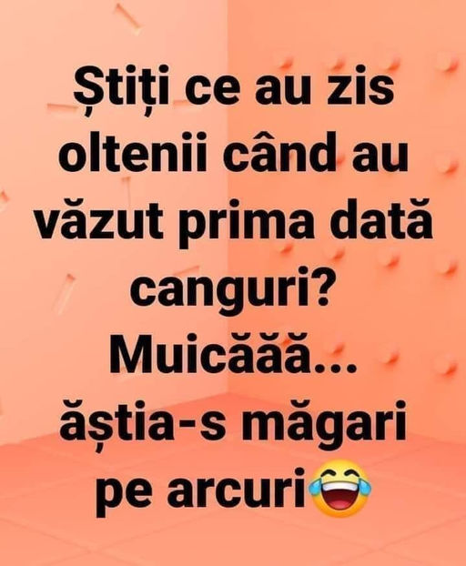  - Bancuri cu Olteni