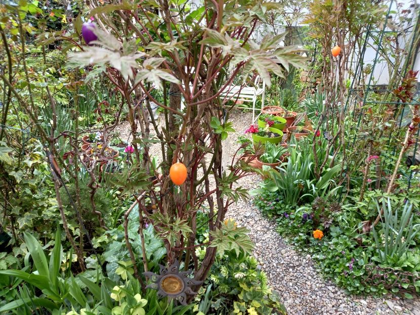 20.04.2022 - Grădina 2022