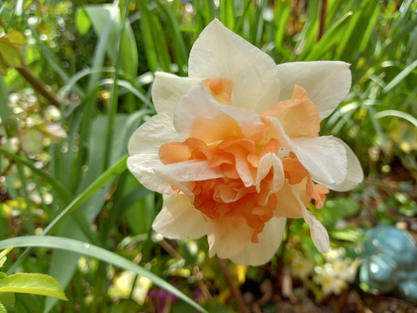 Replete - Grădina 2022