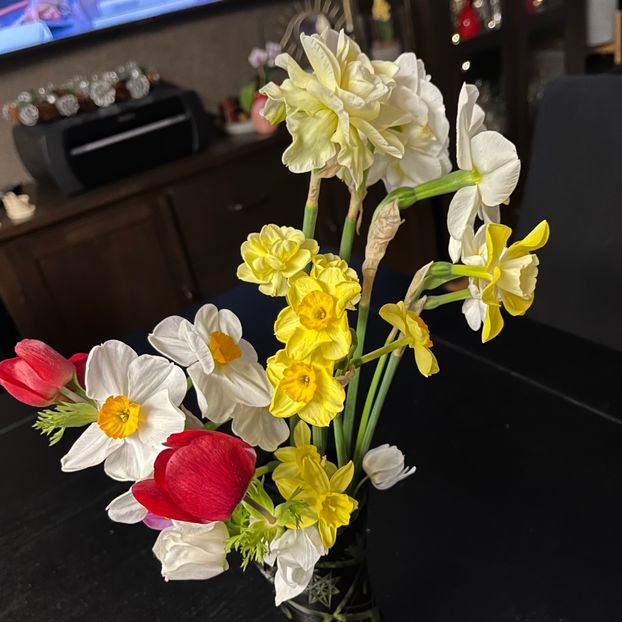 76C60EA7-9E29-4AF8-9D58-4C26C2B58A43 - Narcise 2019 2022 25