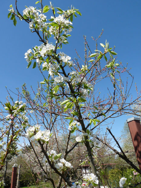  - 2022 - 01 - Primavara