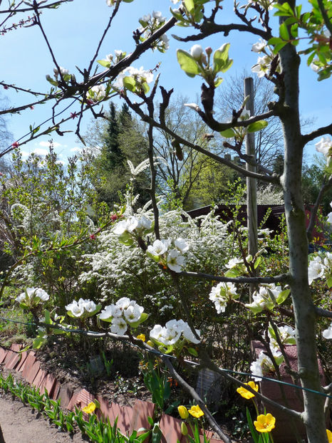  - 2022 - 01 - Primavara