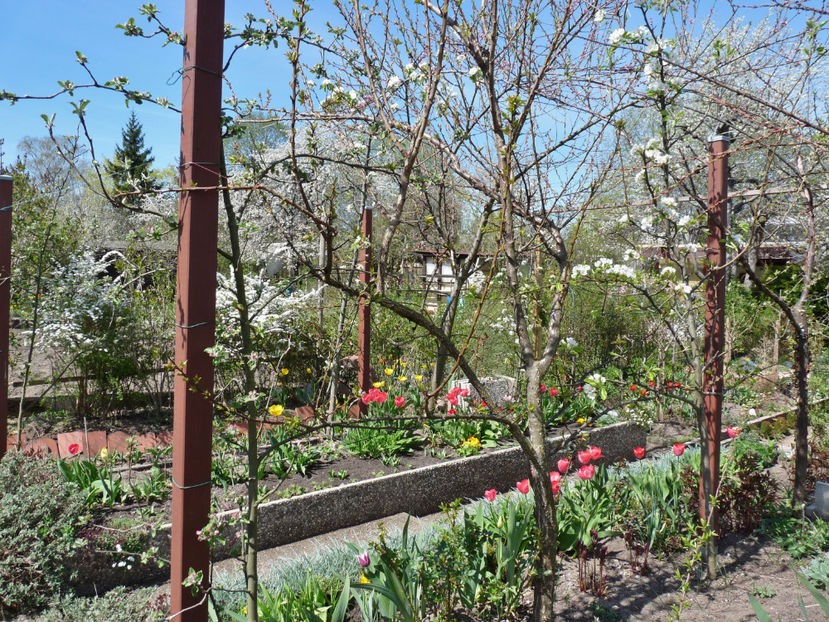 Au fost -9°C. - 2022 - 01 - Primavara